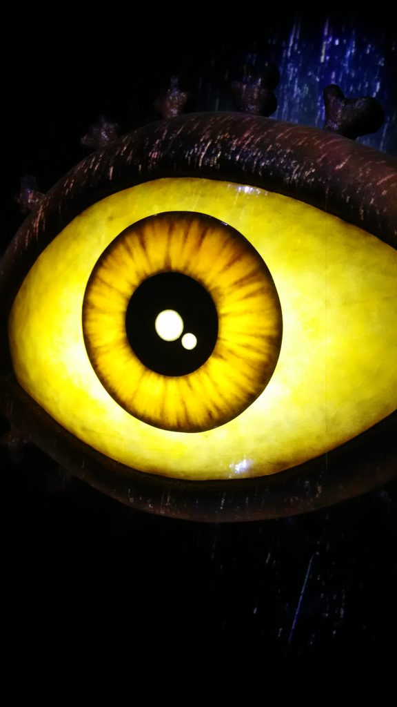 バックベアード