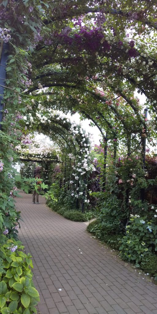 イングリッシュガーデン